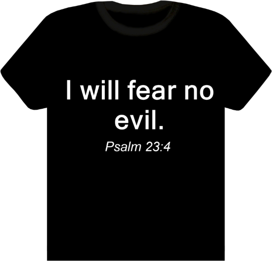 Picture of Psalm 23:4