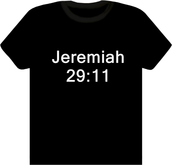 Picture of Jeremiah 29:11