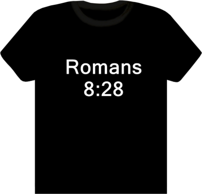 Picture of Romans 8:28